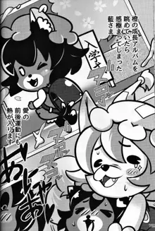 東方PLUMFUR FINAL, 日本語