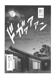 長門さんの新婚生活, 日本語