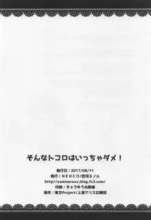 そんなトコロはいっちゃダメ!, 日本語