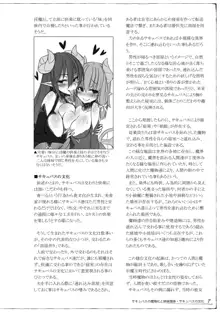 魔物娘図鑑 調査記録 サキュバス・ノート, 日本語