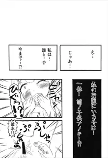 中夭の白砂 微睡にて「Rakshasa」, 日本語