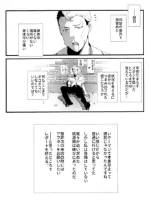 横須賀セクキャバ鎮守府, 日本語