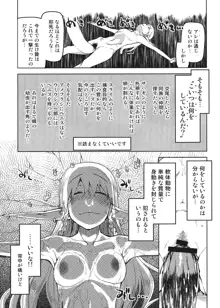 ドスケベエルフの異種姦日記 4, 日本語