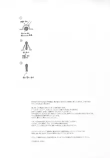 錬金術師に王冠を3, 日本語