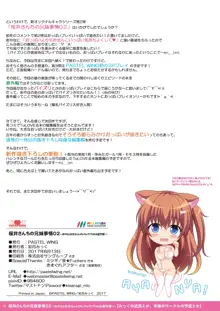 桜井さんちの兄妹事情02～あやなとお兄ちゃんのいちゃラブHなお留守番！～, 日本語