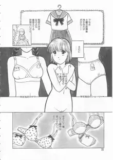 やさしさの制服, 日本語