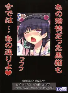 PM32 父妹 5, 日本語