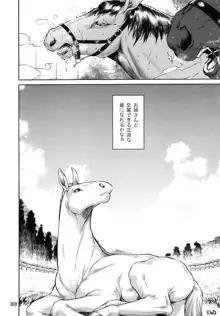 MARE HOLIC 5, 日本語