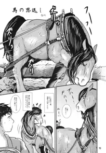 MARE HOLIC 5, 日本語