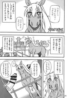 MARE HOLIC 5, 日本語