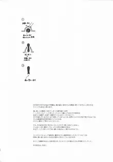 錬金術師に王冠を3, 日本語