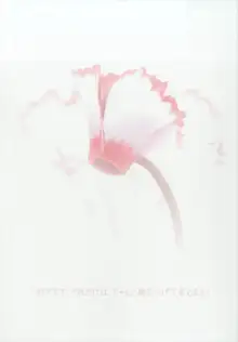 Cyclamen, 日本語