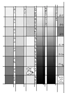 NTR～にとラレ～, 日本語