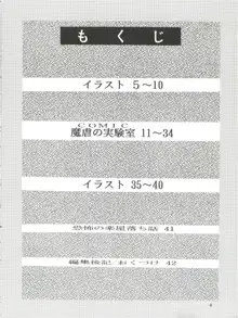 縄縛麗嬢 4, 日本語