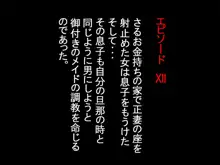 従順メイドや〇メイドや女兵士や家庭教師や魔術師や剣士や巫女や娼婦や〇娘や男娘(おとこのこ)だったりが人間や触手やスライムやゾンビなんかに犯されたり食〇られ・・, 日本語