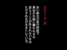 従順メイドや〇メイドや女兵士や家庭教師や魔術師や剣士や巫女や娼婦や〇娘や男娘(おとこのこ)だったりが人間や触手やスライムやゾンビなんかに犯されたり食〇られ・・, 日本語