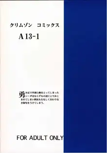 紋章の傷痕, 日本語