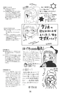 おジャ魔女絵日記, 日本語