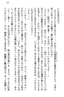 童貞を殺す大魔王! 例のセーターを着たサキュバス姫, 日本語