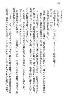 童貞を殺す大魔王! 例のセーターを着たサキュバス姫, 日本語