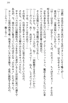 童貞を殺す大魔王! 例のセーターを着たサキュバス姫, 日本語