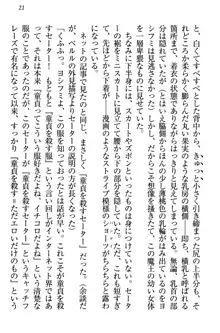 童貞を殺す大魔王! 例のセーターを着たサキュバス姫, 日本語