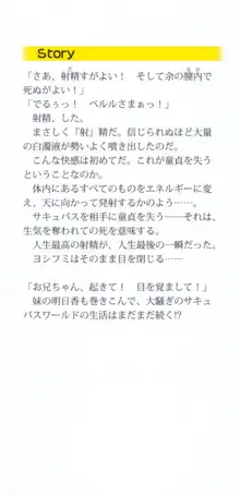 童貞を殺す大魔王! 例のセーターを着たサキュバス姫, 日本語