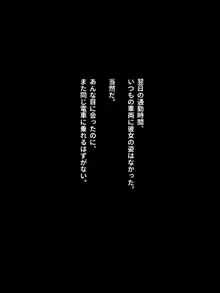 痴漢体験告白, 日本語