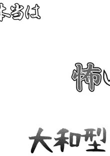 本当は怖い大和型, 日本語