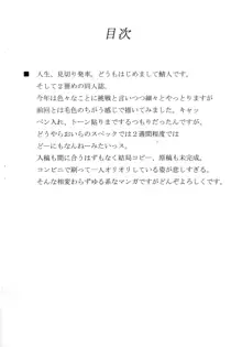 それはいつか消える夢, 日本語