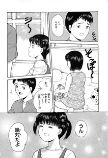 小さな彩り, 日本語