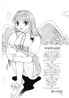 Sweet Angel, 日本語