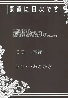 沖田さんで素直に射精する本 Ver.2, 日本語