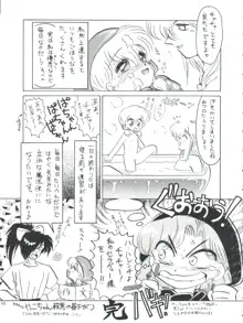 プラスY Vol.14, 日本語