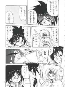 プラスY Vol.14, 日本語