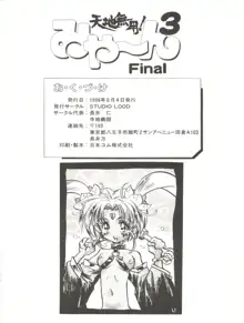 天地無用! みゃーん 3 Final, 日本語