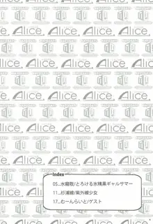 黒ギャル幻想郷まるきゅう！, 日本語