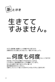 ナズーリンがかんばる本, 日本語