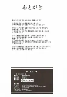 恋色模様20, 日本語