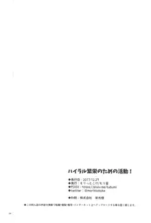 ハイラル繁栄のためのかつどう!, 日本語