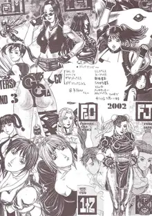 FIGHTERS GIGAMIX FGM Vol.15, 日本語