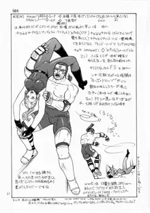 FIGHTERS GiGaMIX FGM vol.19, 日本語