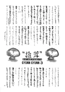 GYUNN GYUNN 3, 日本語