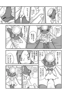 ポケモン漫画 破壊のディアンシー, 日本語