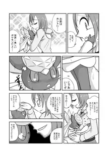 ポケモン漫画 破壊のディアンシー, 日本語