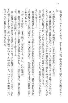 僕には家事妖精なメイドがいます, 日本語