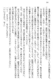 僕には家事妖精なメイドがいます, 日本語