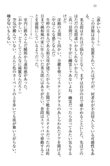 僕には家事妖精なメイドがいます, 日本語