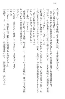 僕には家事妖精なメイドがいます, 日本語