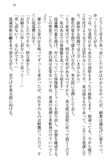 僕には家事妖精なメイドがいます, 日本語